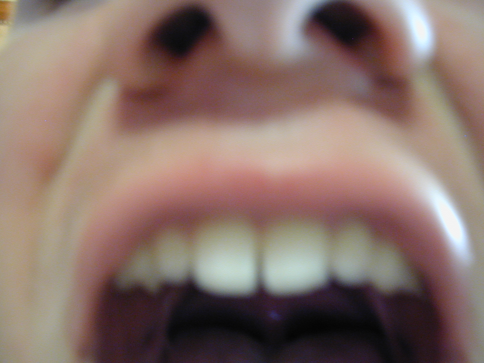p1010197.jpg